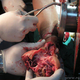Image for article titled Let's Agree to Never Make Meatgrinders Sentient, OK?